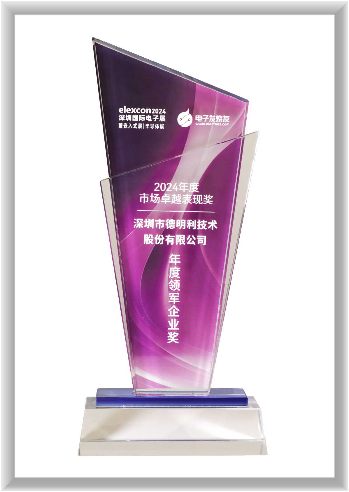 年度領(lǐng)軍企業(yè)獎(jiǎng)